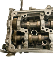 Culasse 03L103373A AUDI VW SEAT 1.6 TDI /golf6 jetta5 passat b6 touran polo5 caddy3/ audi a3 a1 / leon2 ibiza4 altea toledo4/octavia2 fabia2 rapid roomster/