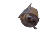 VASE EXPANSION RENAULT CLIO  1.2 16v 1.4 1.9 clio 2 kangoo 1 twingo1 logan sandero1