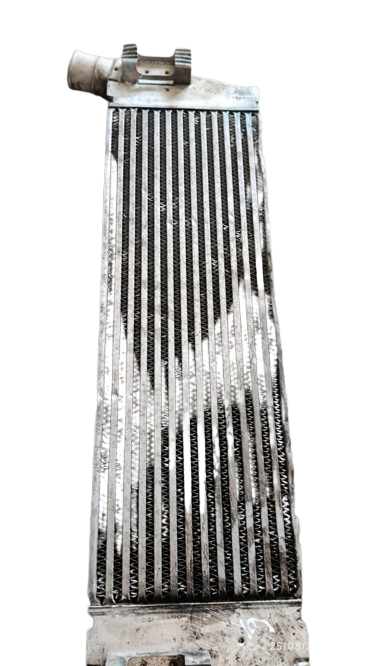 Radiateur de Moteur  - Renault Mégane II